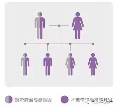 健康托付，關(guān)愛彼此 腫瘤基因檢測(cè)在療養(yǎng)院中的守護(hù)與溫度