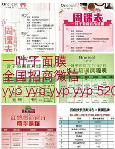 一葉子面膜代理全攻略 手把手教你輕松開啟致富之路